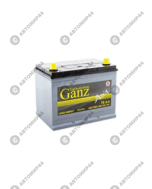 Ganz 12V-75-